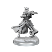 D&D Frameworks: Tiefling Rogue Female - Wizkids