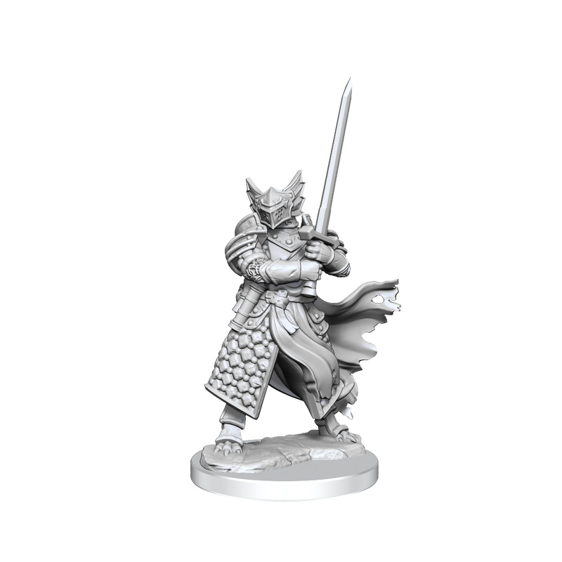 D&D Frameworks: Dragonborn Paladin Male - Wizkids