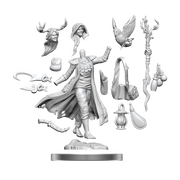 D&D Frameworks: Human Druid Female - Wizkids
