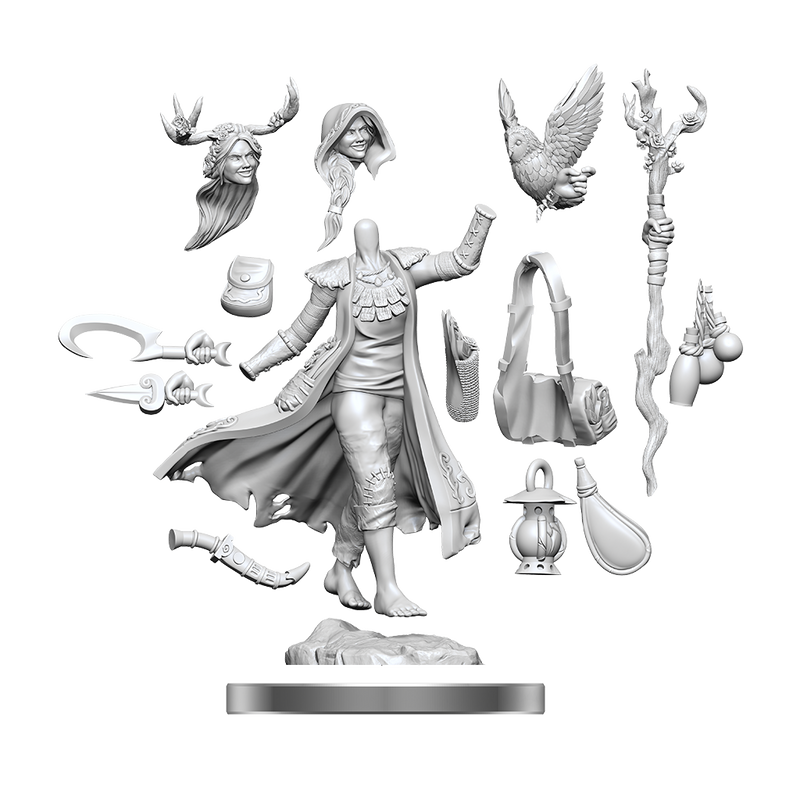 D&D Frameworks: Human Druid Female - Wizkids