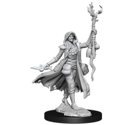 D&D Frameworks: Human Druid Female - Wizkids