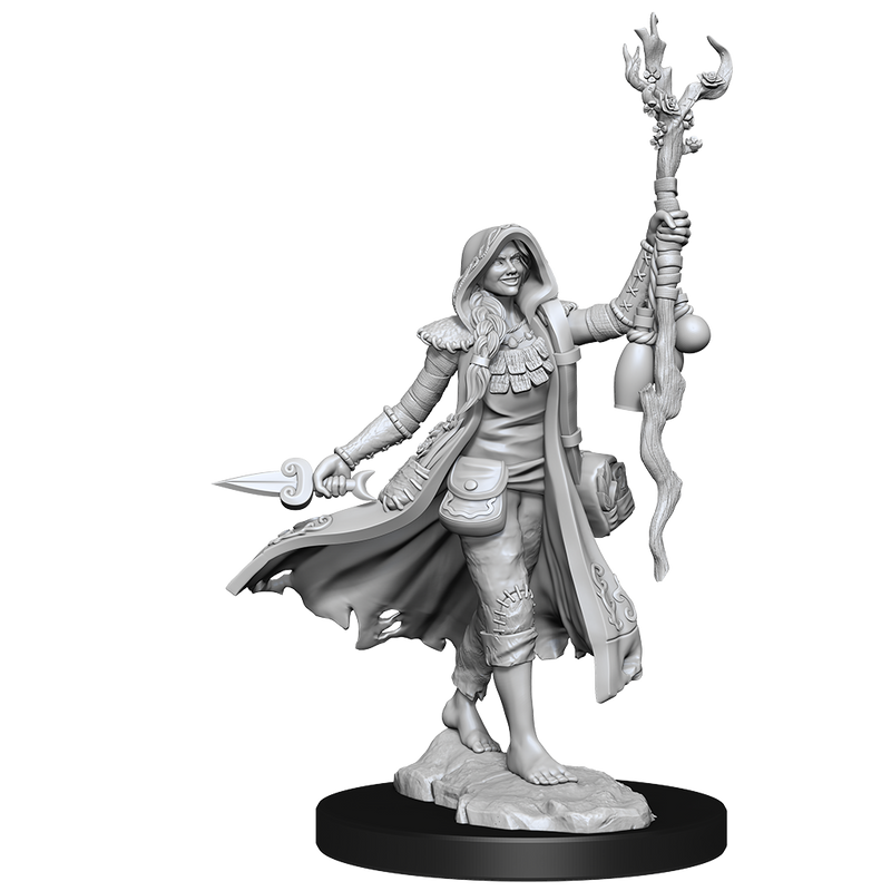 D&D Frameworks: Human Druid Female - Wizkids