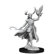 D&D Frameworks: Human Druid Female - Wizkids
