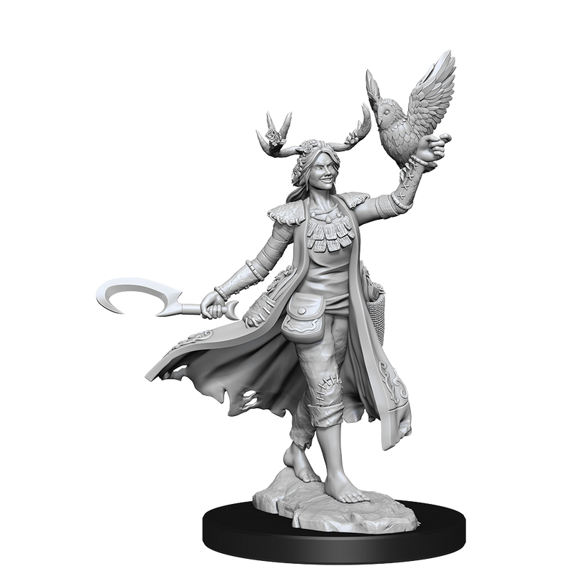 D&D Frameworks: Human Druid Female - Wizkids