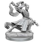 D&D Frameworks: Elf Monk Male - Wizkids