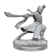 D&D Frameworks: Elf Monk Male - Wizkids