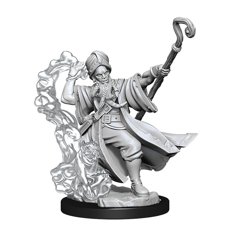D&D Frameworks: Human Wizard Male - Wizkids