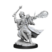 D&D Frameworks: Human Wizard Male - Wizkids
