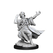 D&D Frameworks: Human Wizard Male - Wizkids