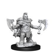 D&D Frameworks: Dwarf Barbarian Female - Wizkids