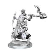 D&D Frameworks: Dragonborn Sorcerer Female - Wizkids