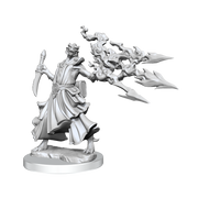 D&D Frameworks: Dragonborn Sorcerer Female - Wizkids
