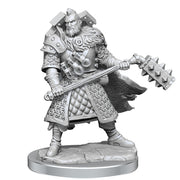D&D Frameworks: Human Fighter Male - Wizkids