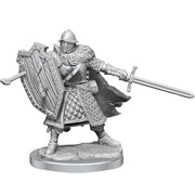 D&D Frameworks: Human Fighter Male - Wizkids