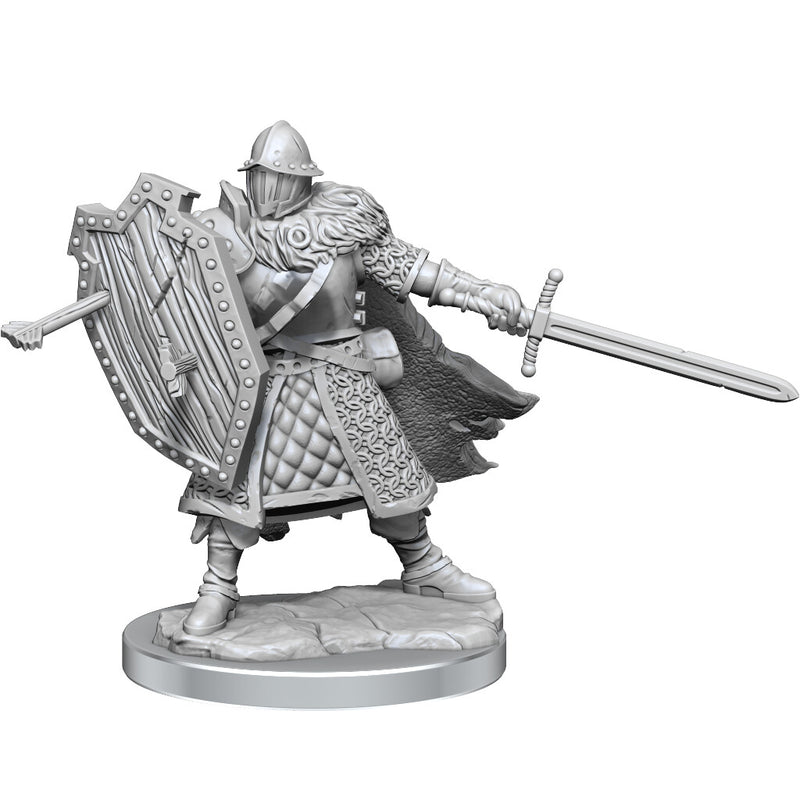 D&D Frameworks: Human Fighter Male - Wizkids