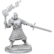 D&D Frameworks: Human Fighter Male - Wizkids