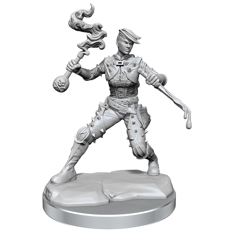 D&D Frameworks: Human Rogue Female - Wizkids