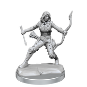 D&D Frameworks: Human Rogue Female - Wizkids