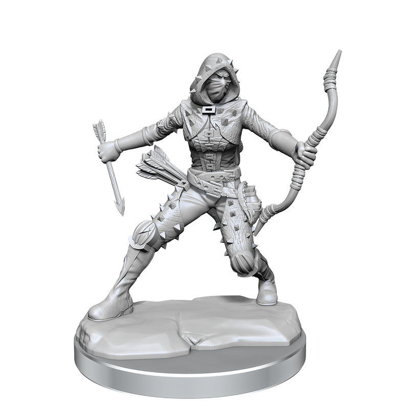 D&D Frameworks: Human Rogue Female - Wizkids