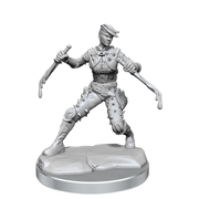 D&D Frameworks: Human Rogue Female - Wizkids