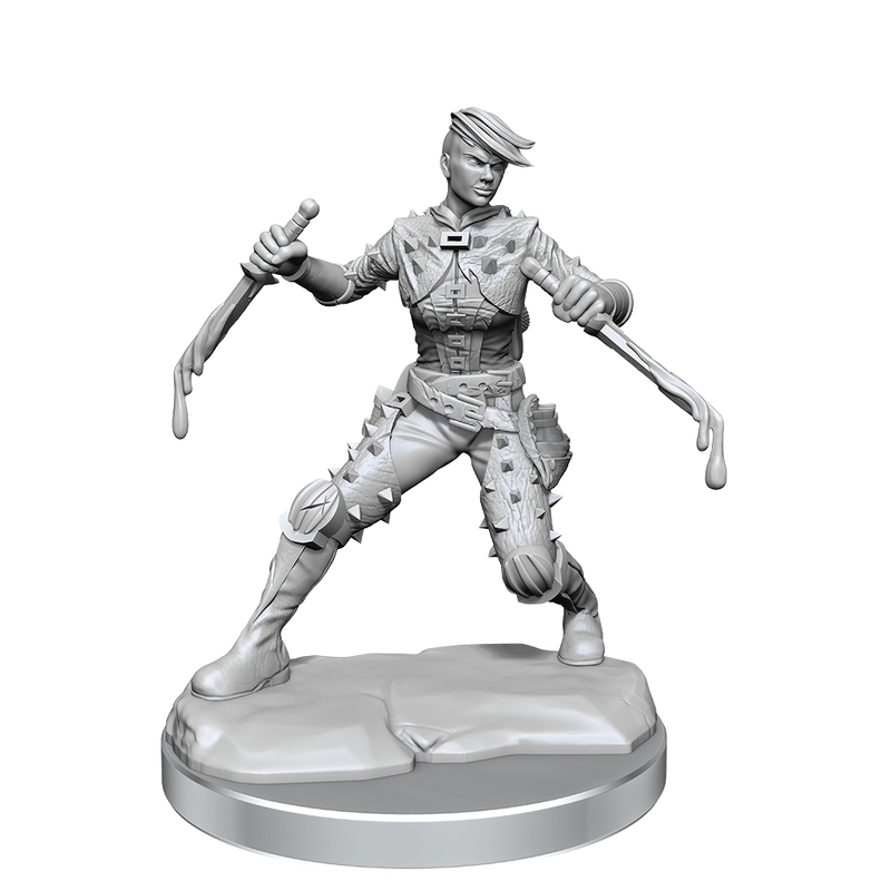 D&D Frameworks: Human Rogue Female - Wizkids