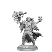 D&D Frameworks: Human Warlock Male - Wizkids