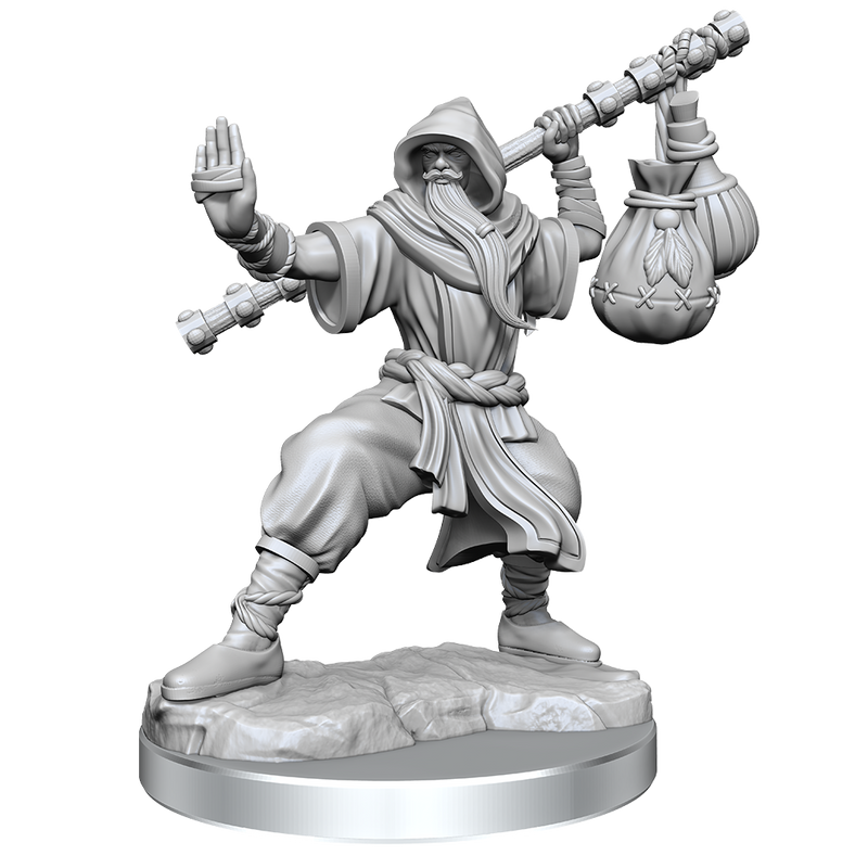 D&D Frameworks: Human Monk Male - Wizkids
