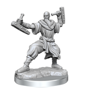 D&D Frameworks: Human Monk Male - Wizkids