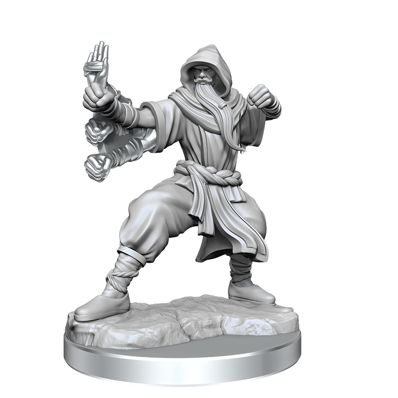 D&D Frameworks: Human Monk Male - Wizkids