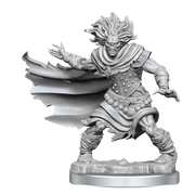 D&D Frameworks: Wight - Wizkids