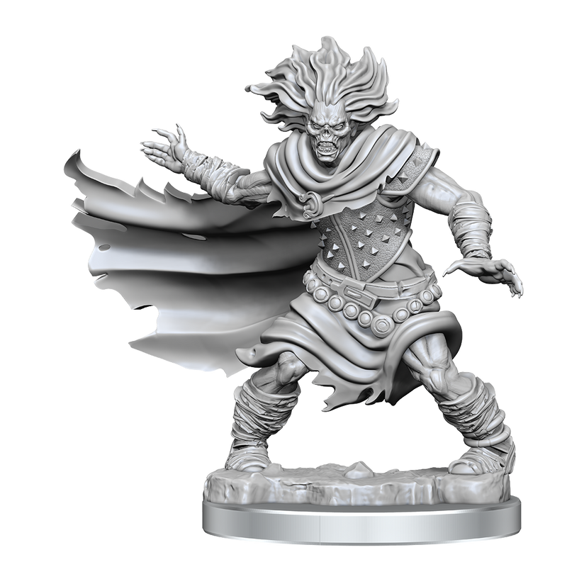 D&D Frameworks: Wight - Wizkids