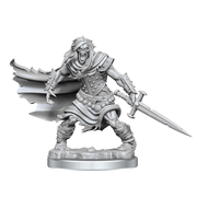 D&D Frameworks: Wight - Wizkids