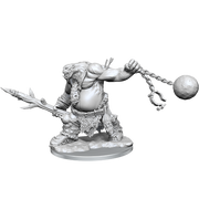 D&D Frameworks: Ogre - Wizkids