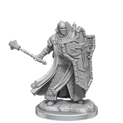 D&D Frameworks: Human Cleric Male - Wizkids