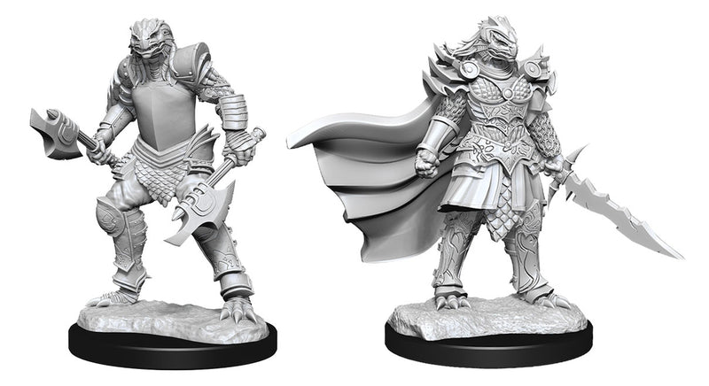 D&D Nolzur's Marvelous Miniatures: Dragonborn Fighter Female - Wizkids