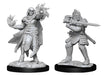 D&D Nolzur's Marvelous Miniatures: Hobgoblin Fighter Male & Hobgoblin Wizard Female - Wizkids