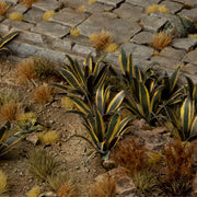 Gamers Grass - Laser Plants - Agave - Gamers Grass