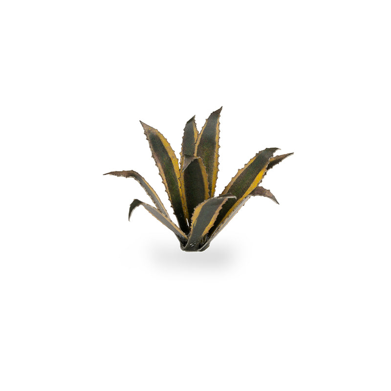 Gamers Grass - Laser Plants - Agave - Gamers Grass