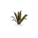 Gamers Grass - Laser Plants - Agave - Gamers Grass