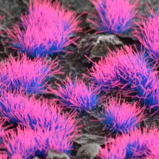 Gamers Grass - Alien Neon (4mm) Wild Tufts - Gamers Grass