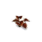Gamers Grass - Laser Plants - Alien Flytrap - Gamers Grass