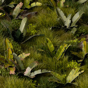 Gamers Grass - Laser Plants - Banana Tree - Gamers Grass