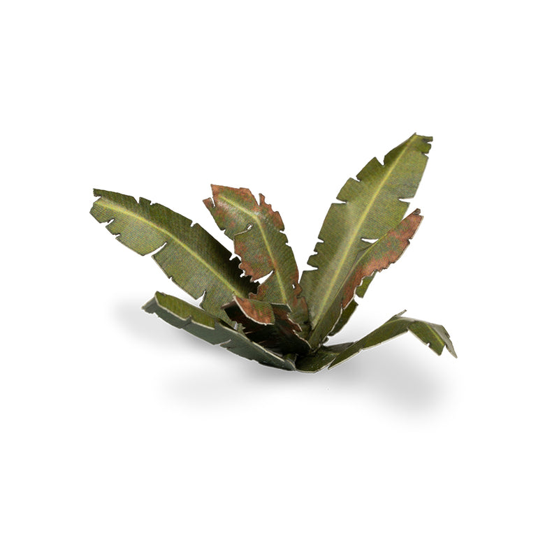 Gamers Grass - Laser Plants - Banana Tree - Gamers Grass