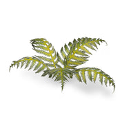Gamers Grass - Laser Plants - Bracken - Gamers Grass