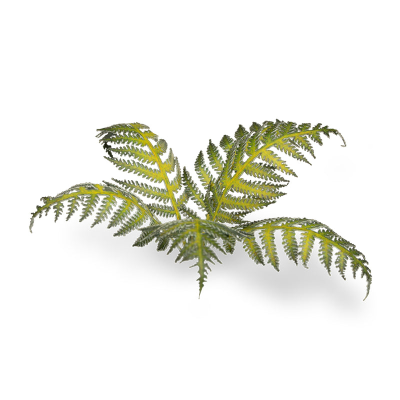 Gamers Grass - Laser Plants - Bracken - Gamers Grass