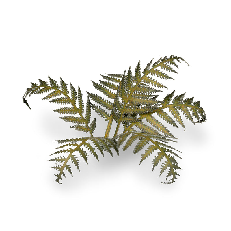 Gamers Grass - Laser Plants - Bracken - Gamers Grass