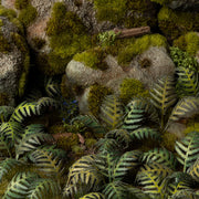 Gamers Grass - Laser Plants - Bracken - Gamers Grass