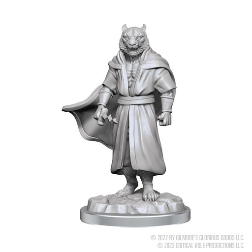 Male Human Sorcerer Merchant & Tiger Demon: Critical Role Unpainted Miniatures (W3) - Wizkids