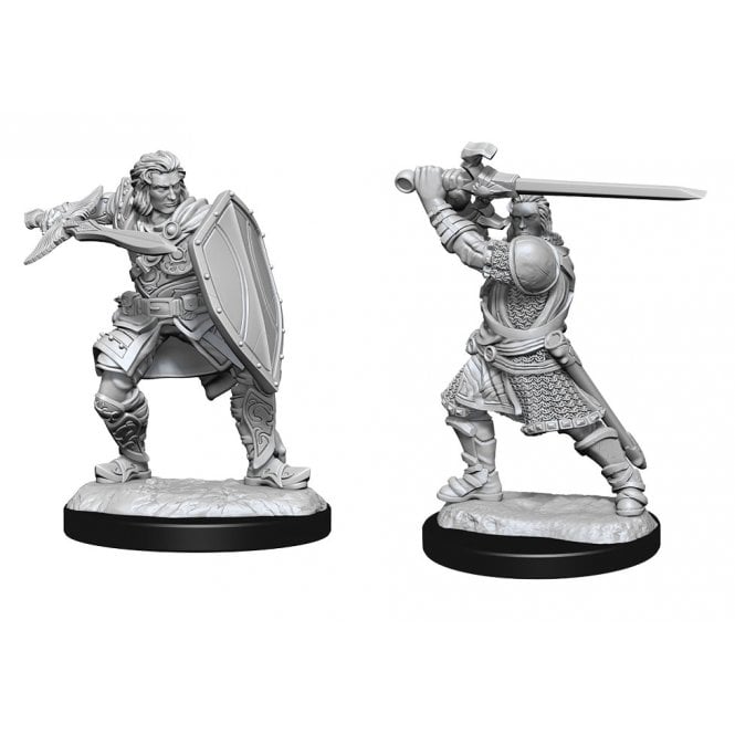 Nolzurs Marvellous Miniatures: Human Paladin Male - Wizkids