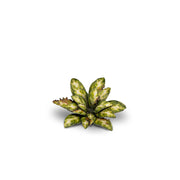 Gamers Grass - Laser Plants - Dumb Cane - Gamers Grass